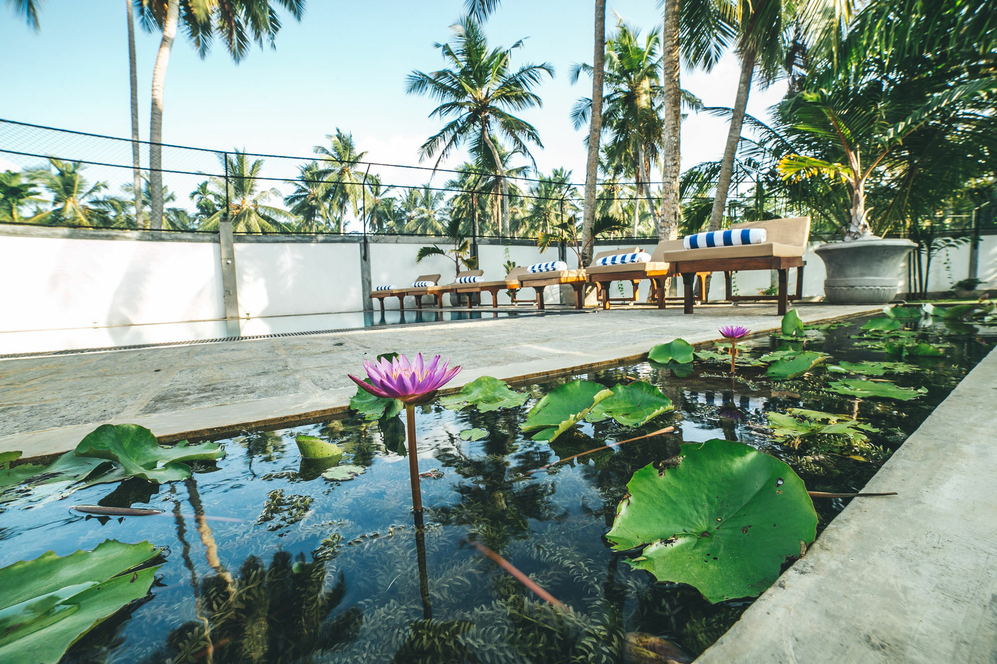 Sisikirana Villa أونا واتونا المظهر الخارجي الصورة